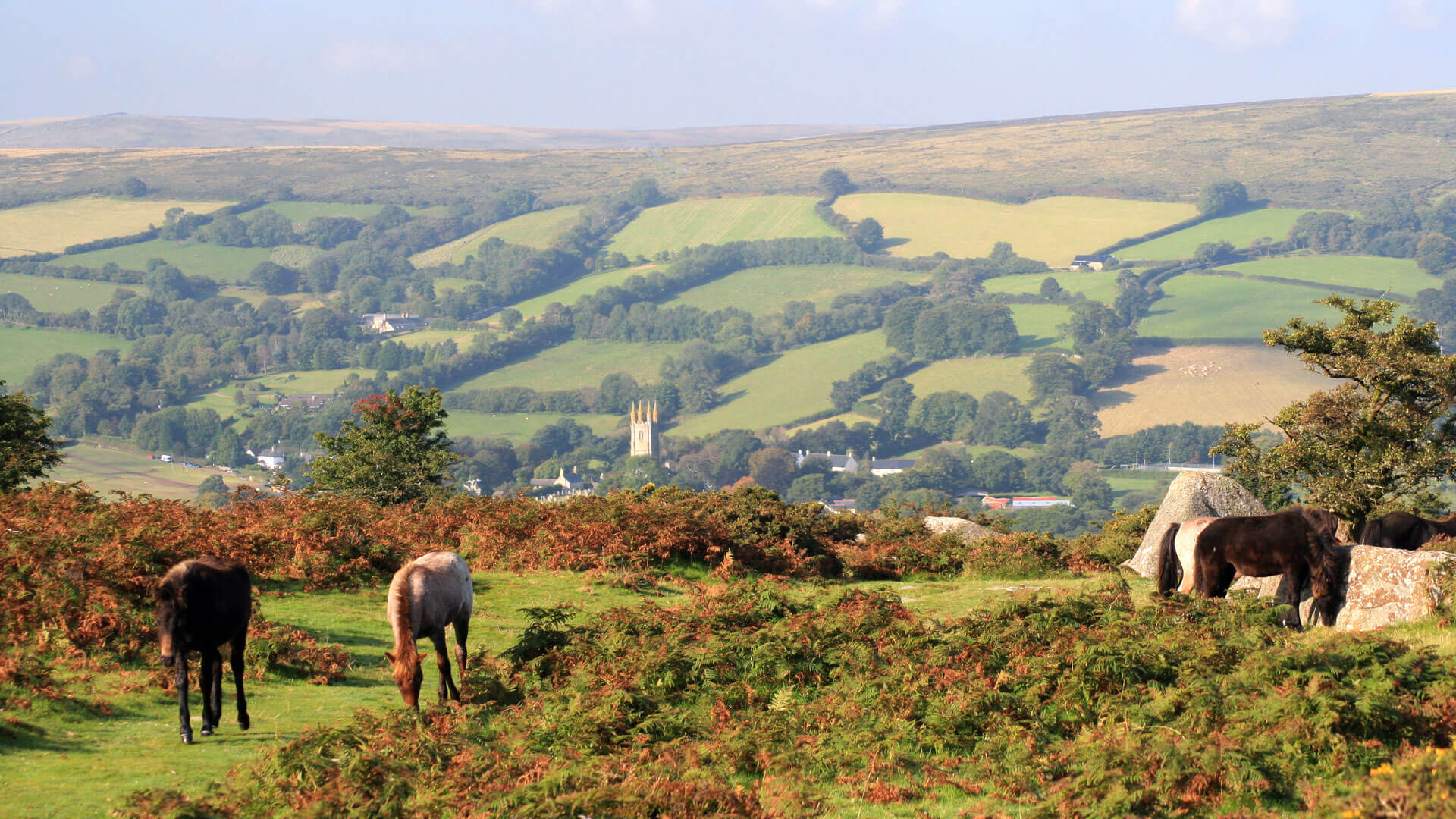 Horse riding trails Devon